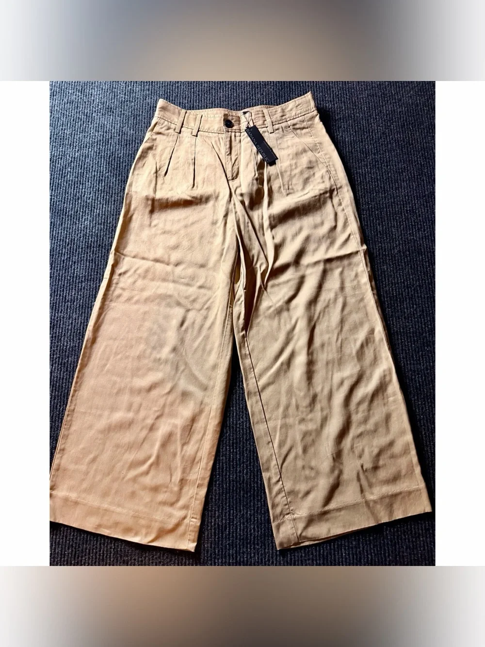 Banana Republic High Rise Wide Leg Pleated Pants Beige Sand Dune Size 8 NWT